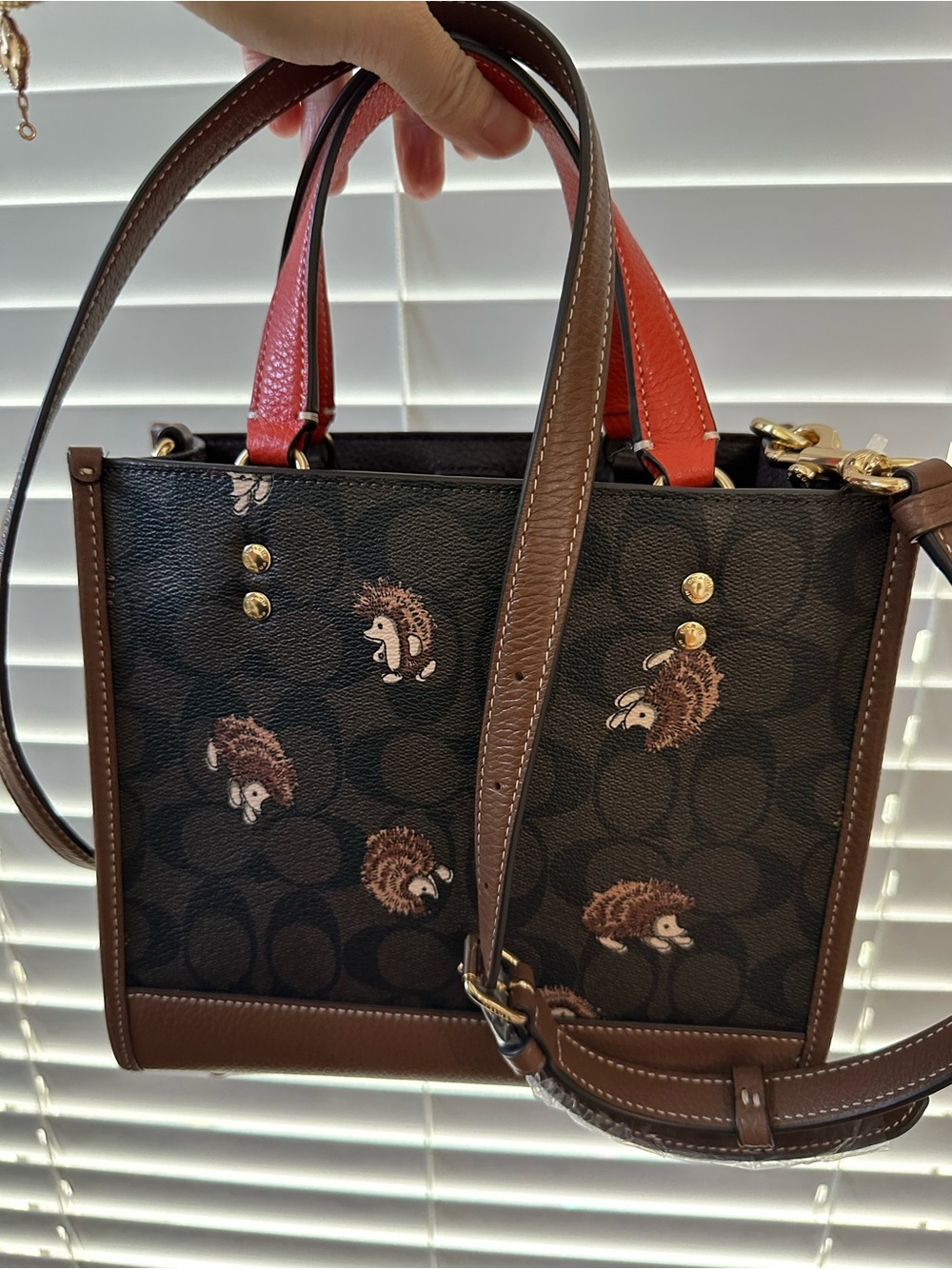 Coach Dempsey 22 signature Hedgehog Print Tote in Brown with Red Handles - Picture 3 of 8